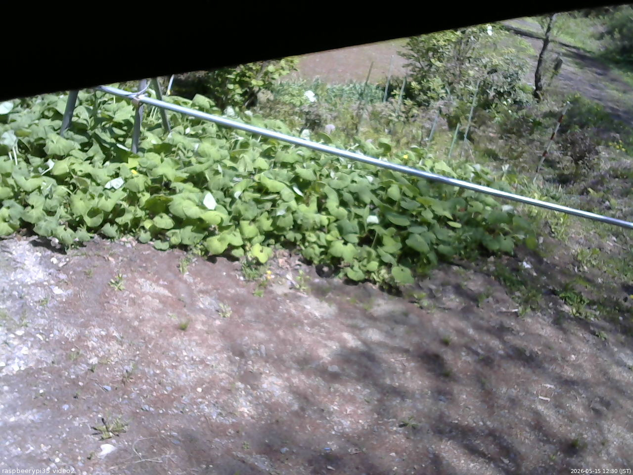 長野県菅平高原 ゆたか山荘 駐車場 2026/05/15 12:30