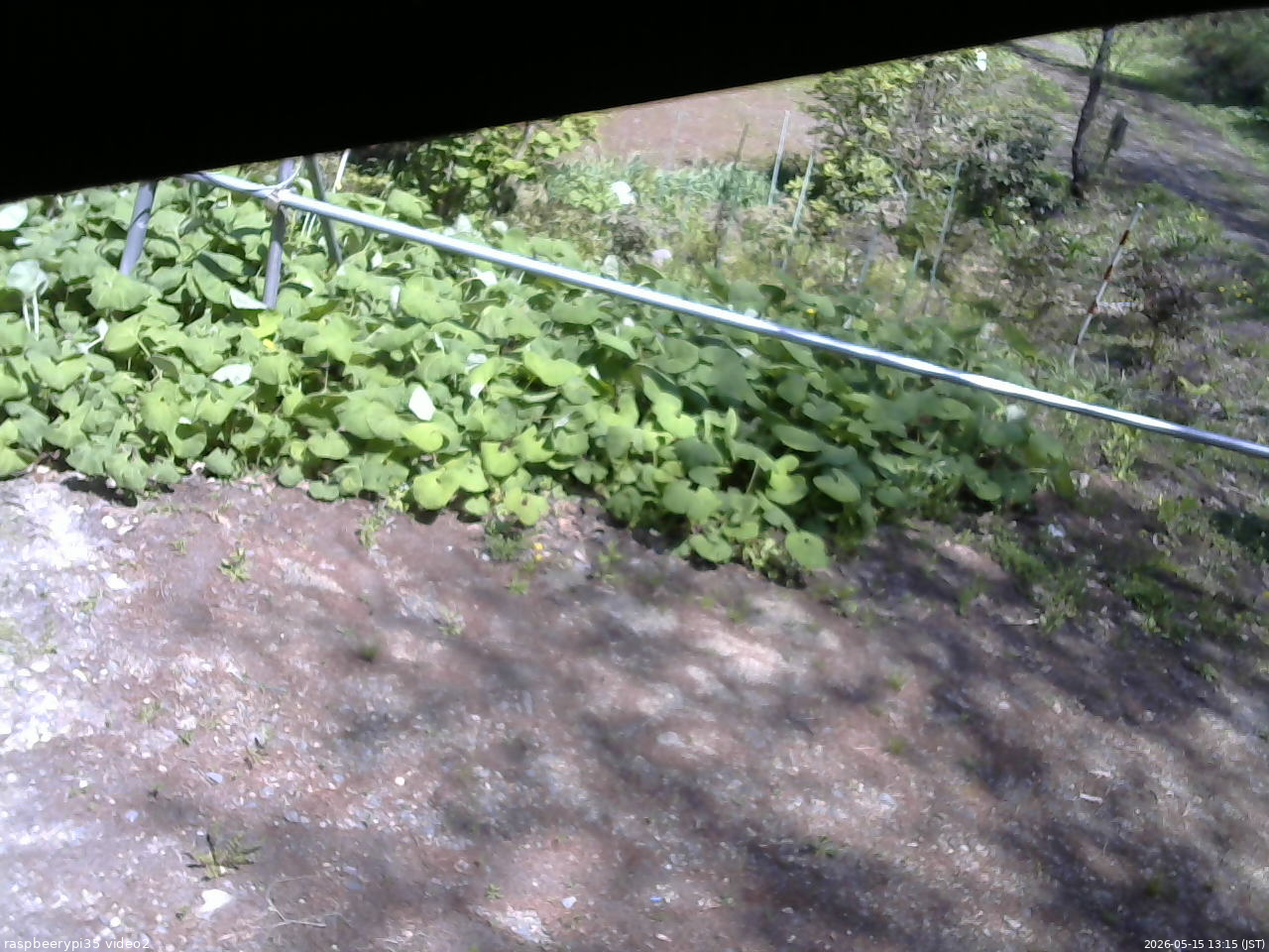 長野県菅平高原 ゆたか山荘 駐車場 2026/05/15 13:15