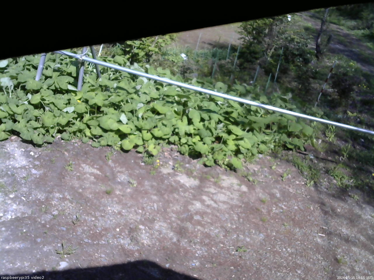 長野県菅平高原 ゆたか山荘 駐車場 2026/05/15 14:15