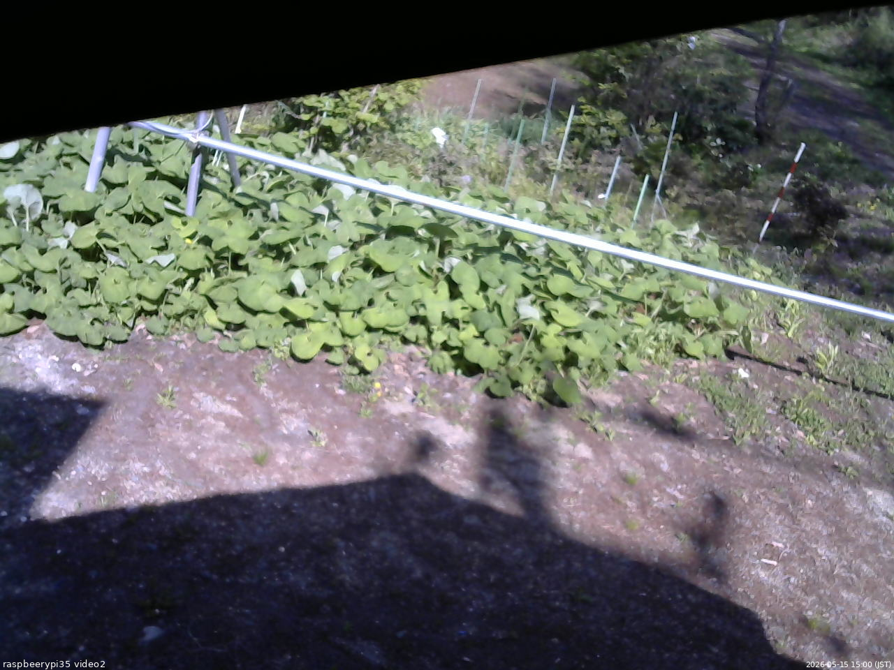 長野県菅平高原 ゆたか山荘 駐車場 2026/05/15 15:00