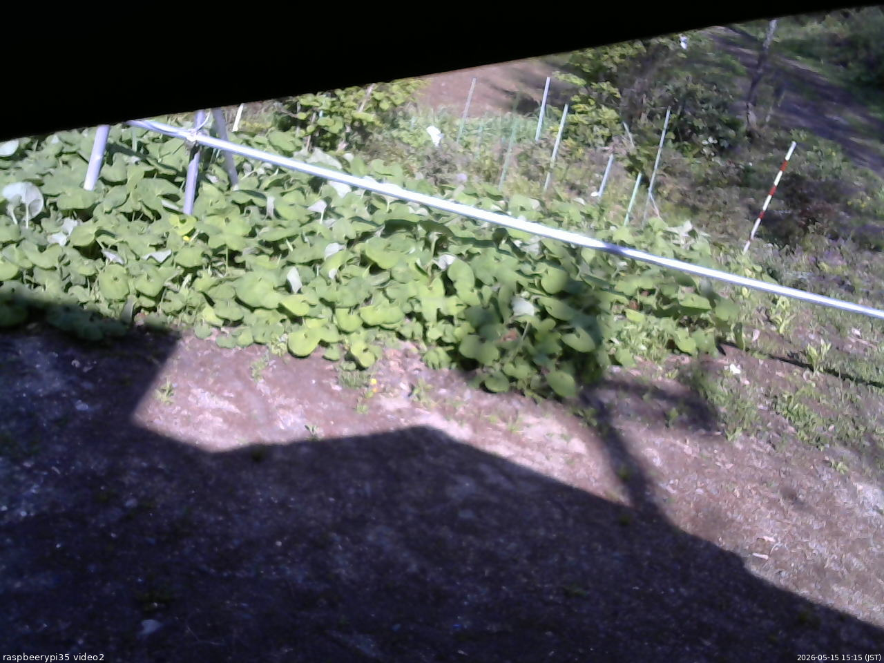 長野県菅平高原 ゆたか山荘 駐車場 2026/05/15 15:15