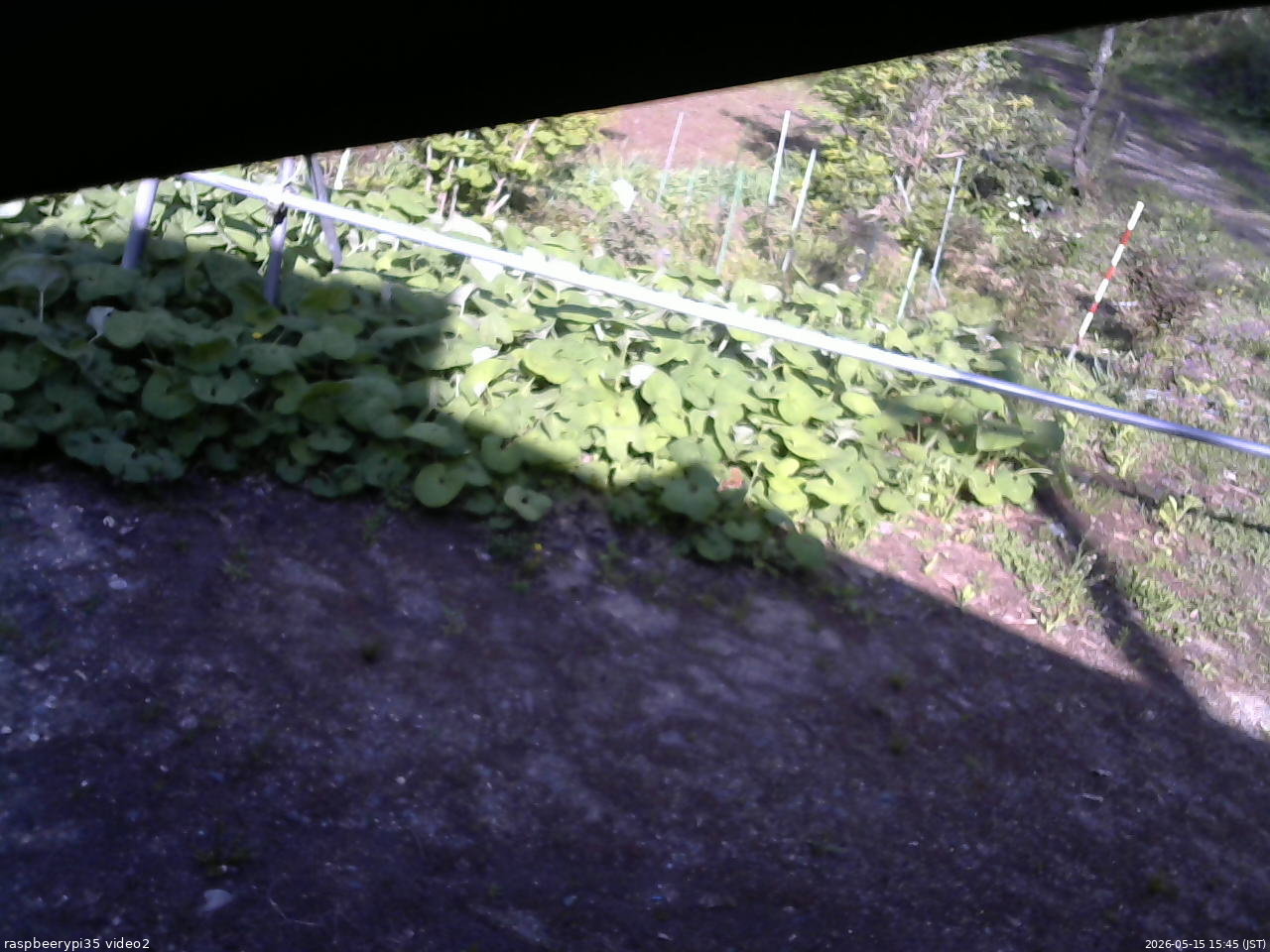 長野県菅平高原 ゆたか山荘 駐車場 2026/05/15 15:45
