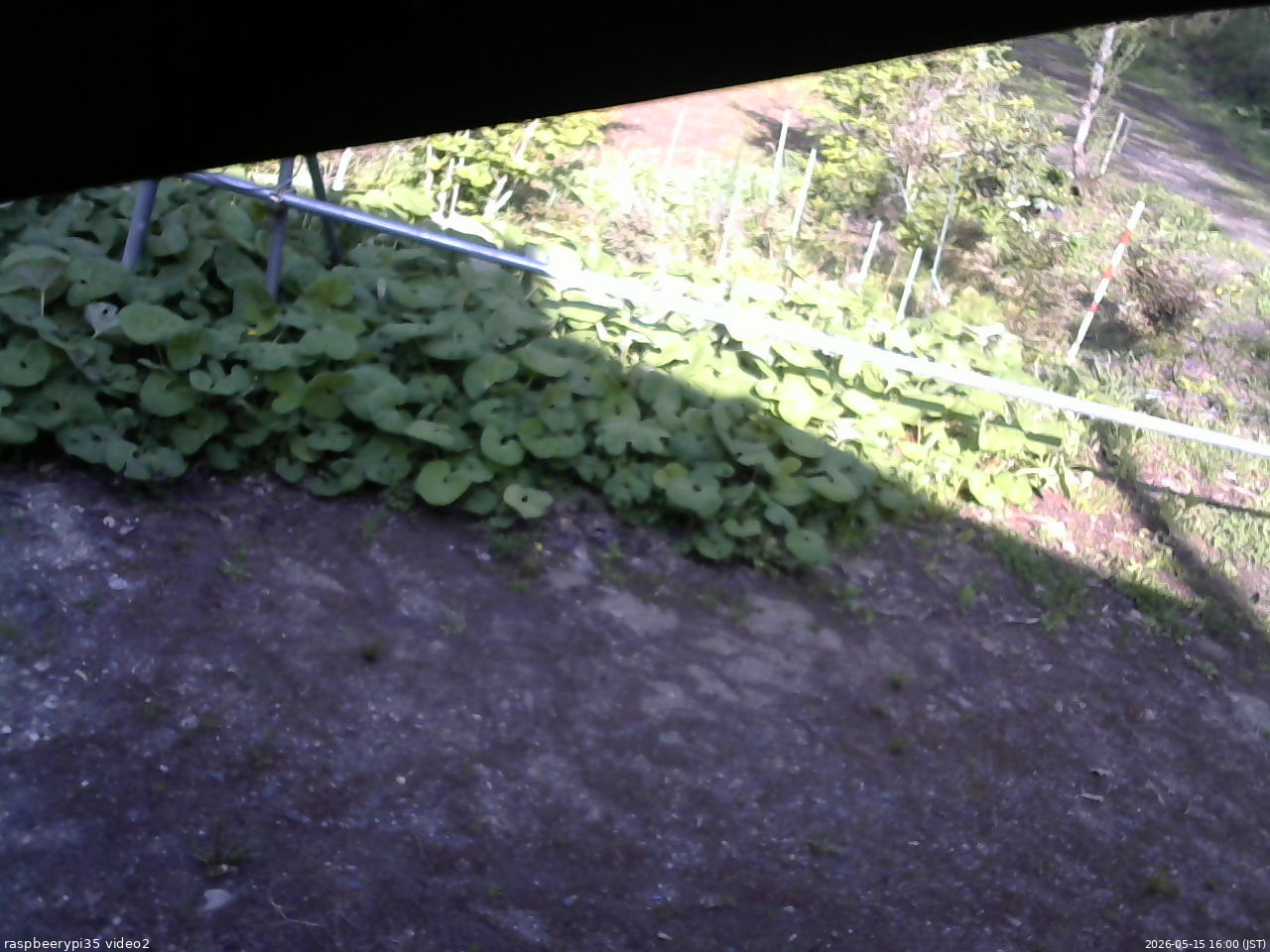 長野県菅平高原 ゆたか山荘 駐車場 2026/05/15 16:00