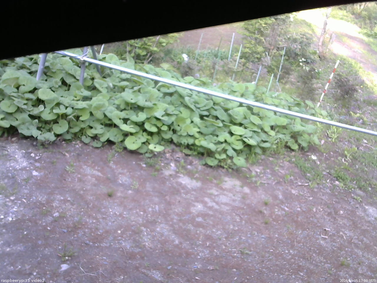 長野県菅平高原 ゆたか山荘 駐車場 2026/05/15 17:00