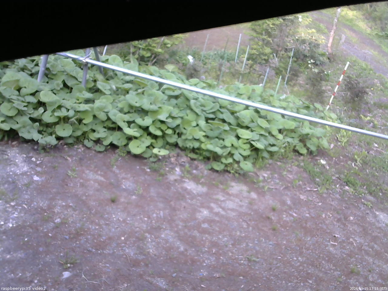 長野県菅平高原 ゆたか山荘 駐車場 2026/05/15 17:15
