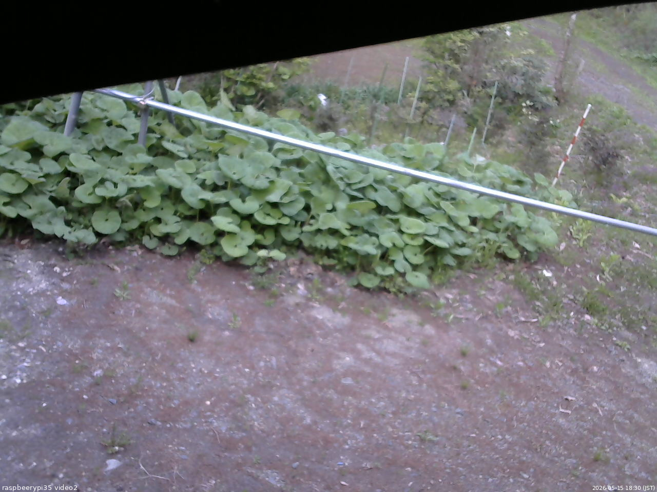 長野県菅平高原 ゆたか山荘 駐車場 2026/05/15 18:30