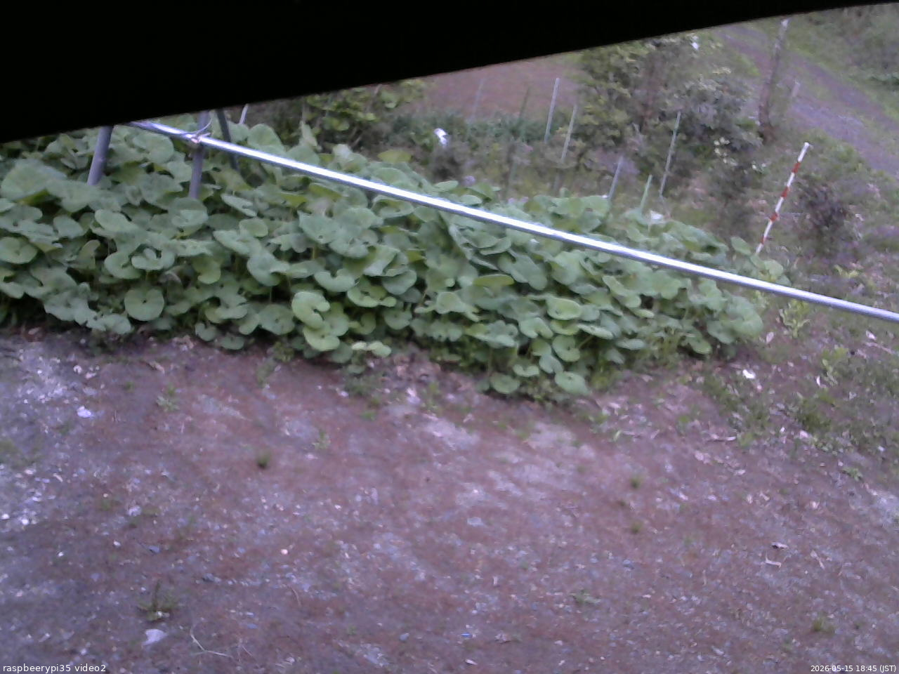 長野県菅平高原 ゆたか山荘 駐車場 2026/05/15 18:45