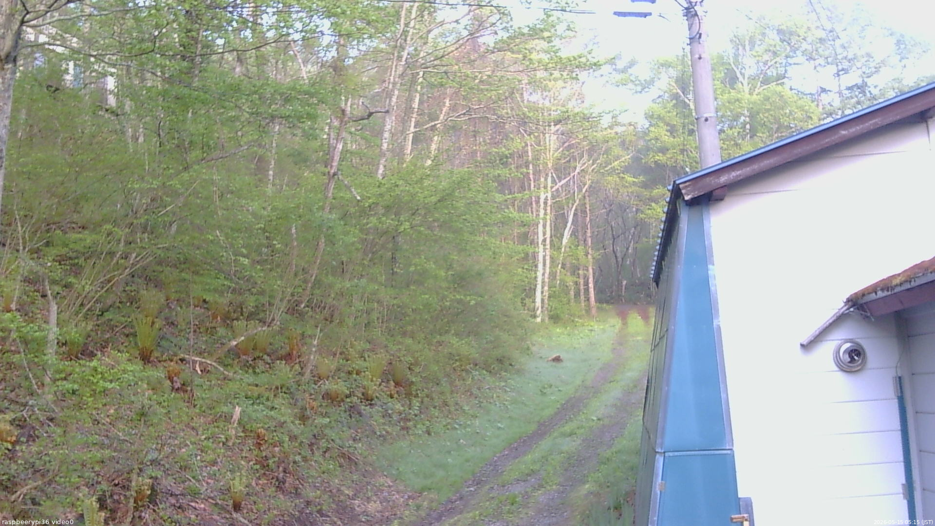 長野県菅平高原 ゆたか山荘 ゆたか山荘 2026/05/15 05:15