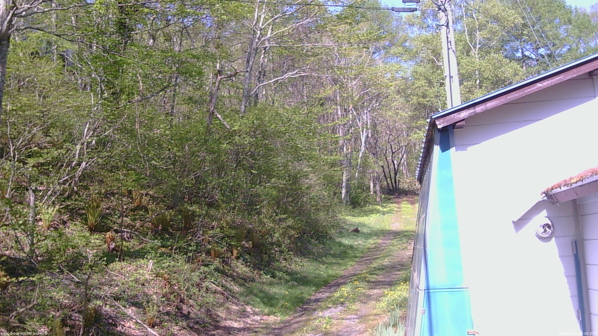 長野県菅平高原 ゆたか山荘 ゆたか山荘 2026/05/15 08:30