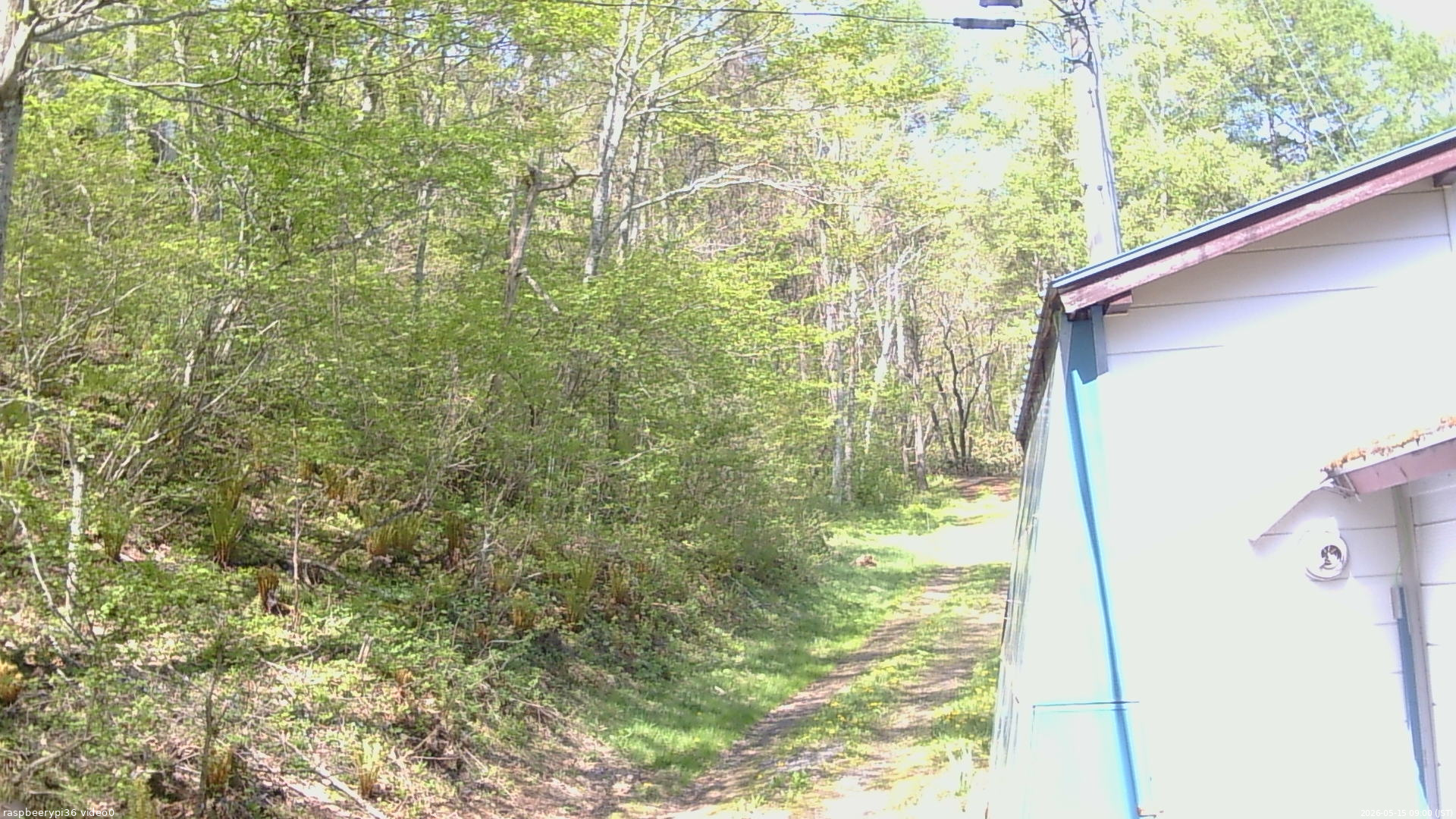 長野県菅平高原 ゆたか山荘 ゆたか山荘 2026/05/15 09:00