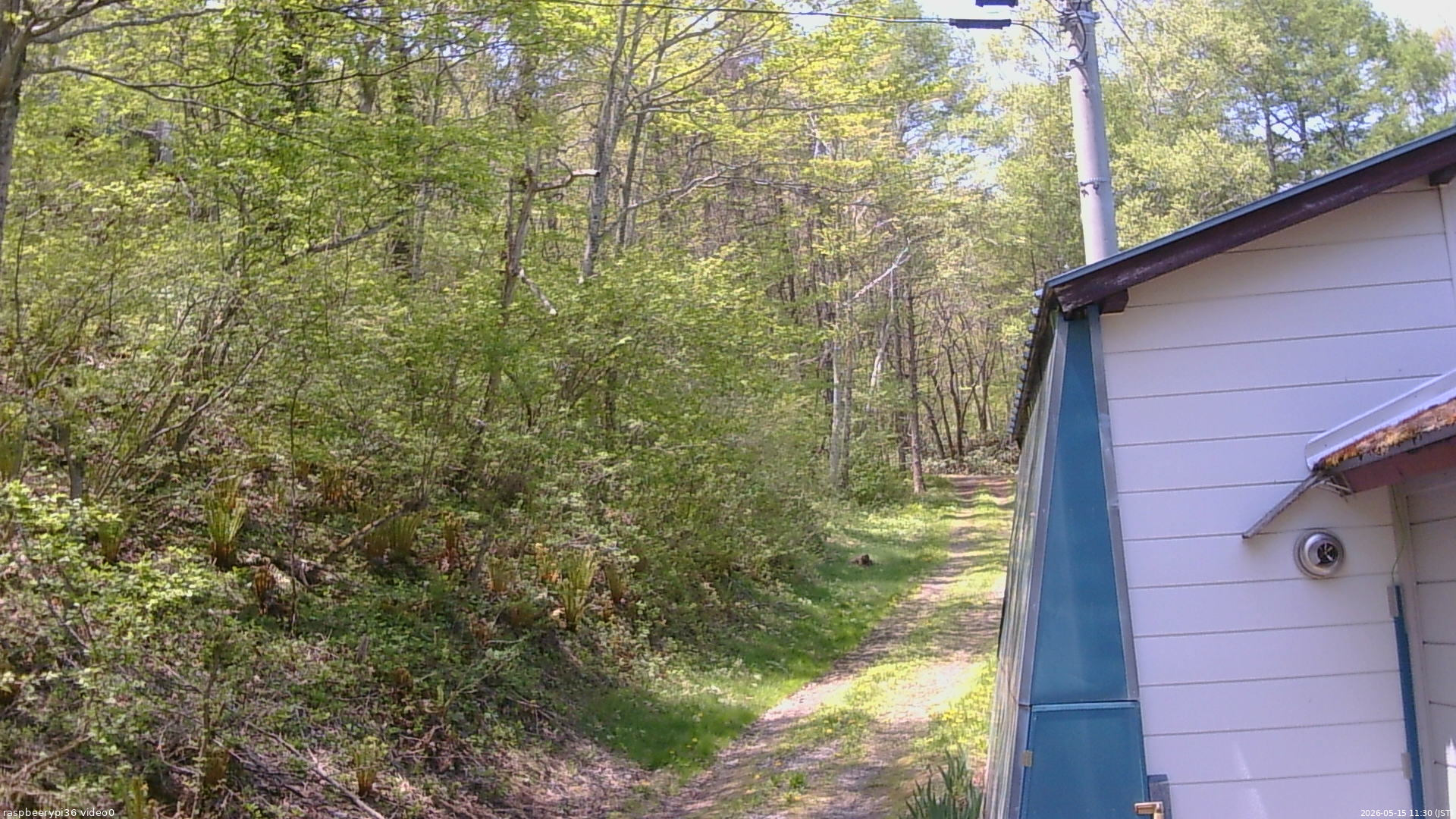 長野県菅平高原 ゆたか山荘 ゆたか山荘 2026/05/15 11:30