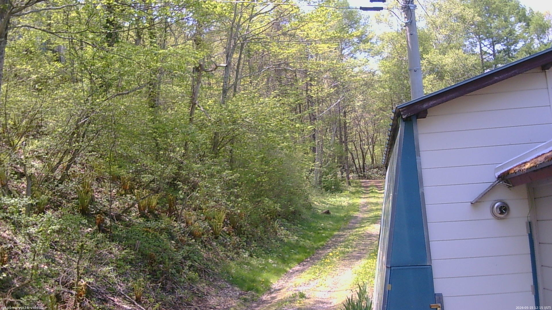 長野県菅平高原 ゆたか山荘 ゆたか山荘 2026/05/15 12:15