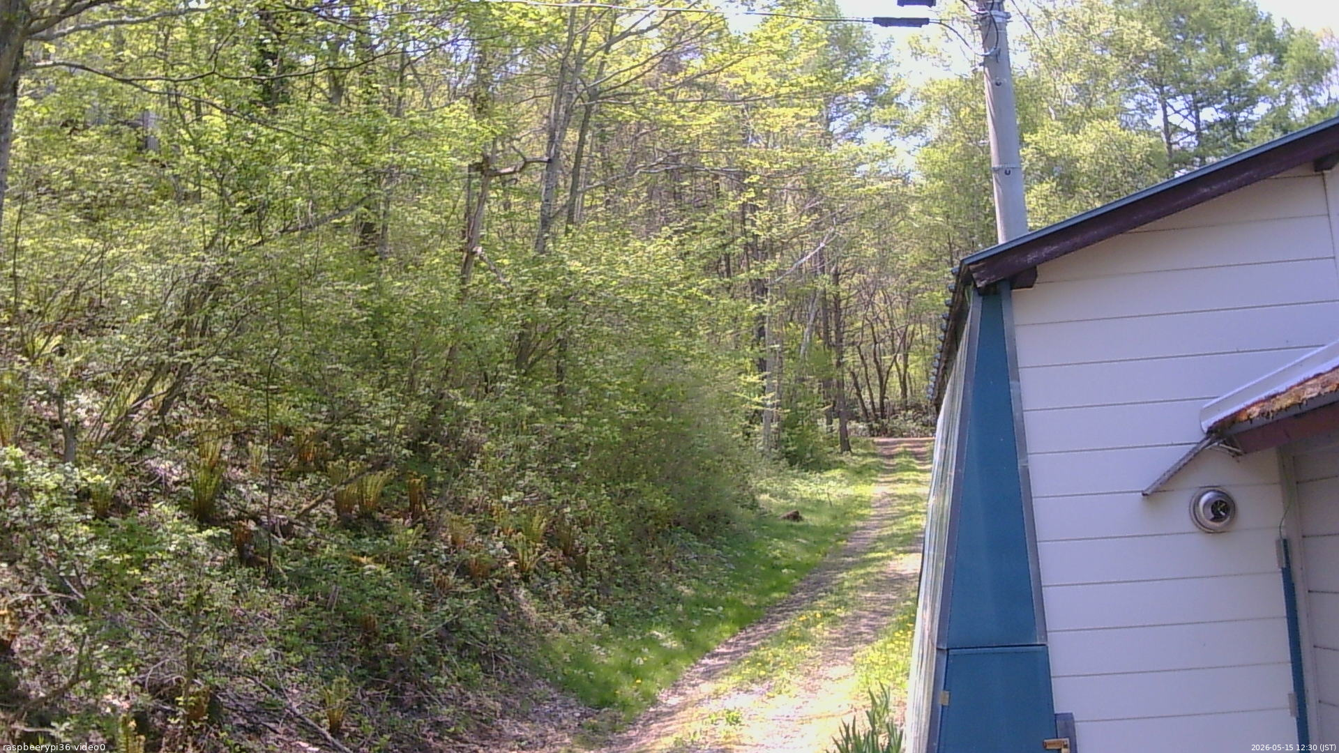 長野県菅平高原 ゆたか山荘 ゆたか山荘 2026/05/15 12:30