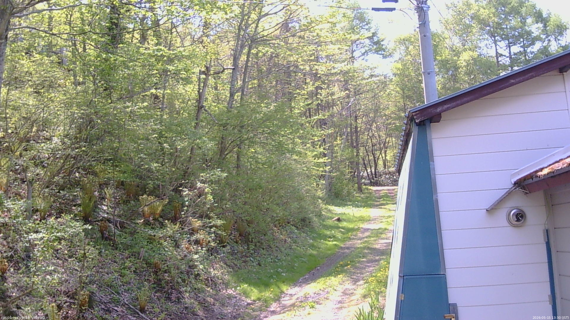長野県菅平高原 ゆたか山荘 ゆたか山荘 2026/05/15 13:30