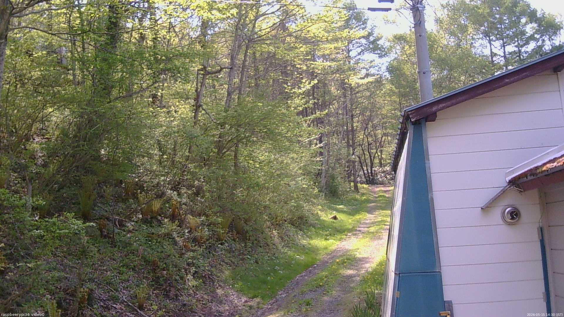 長野県菅平高原 ゆたか山荘 ゆたか山荘 2026/05/15 14:30