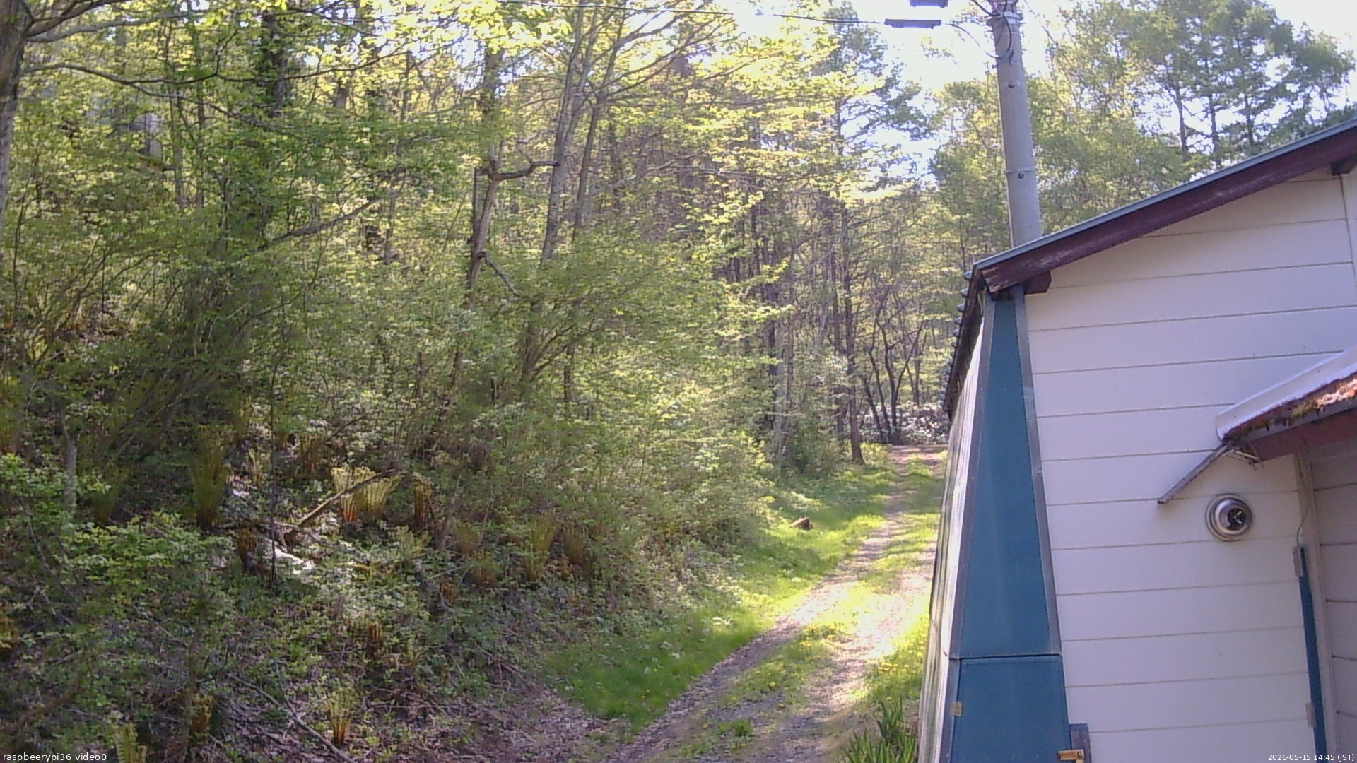 長野県菅平高原 ゆたか山荘 ゆたか山荘 2026/05/15 14:45