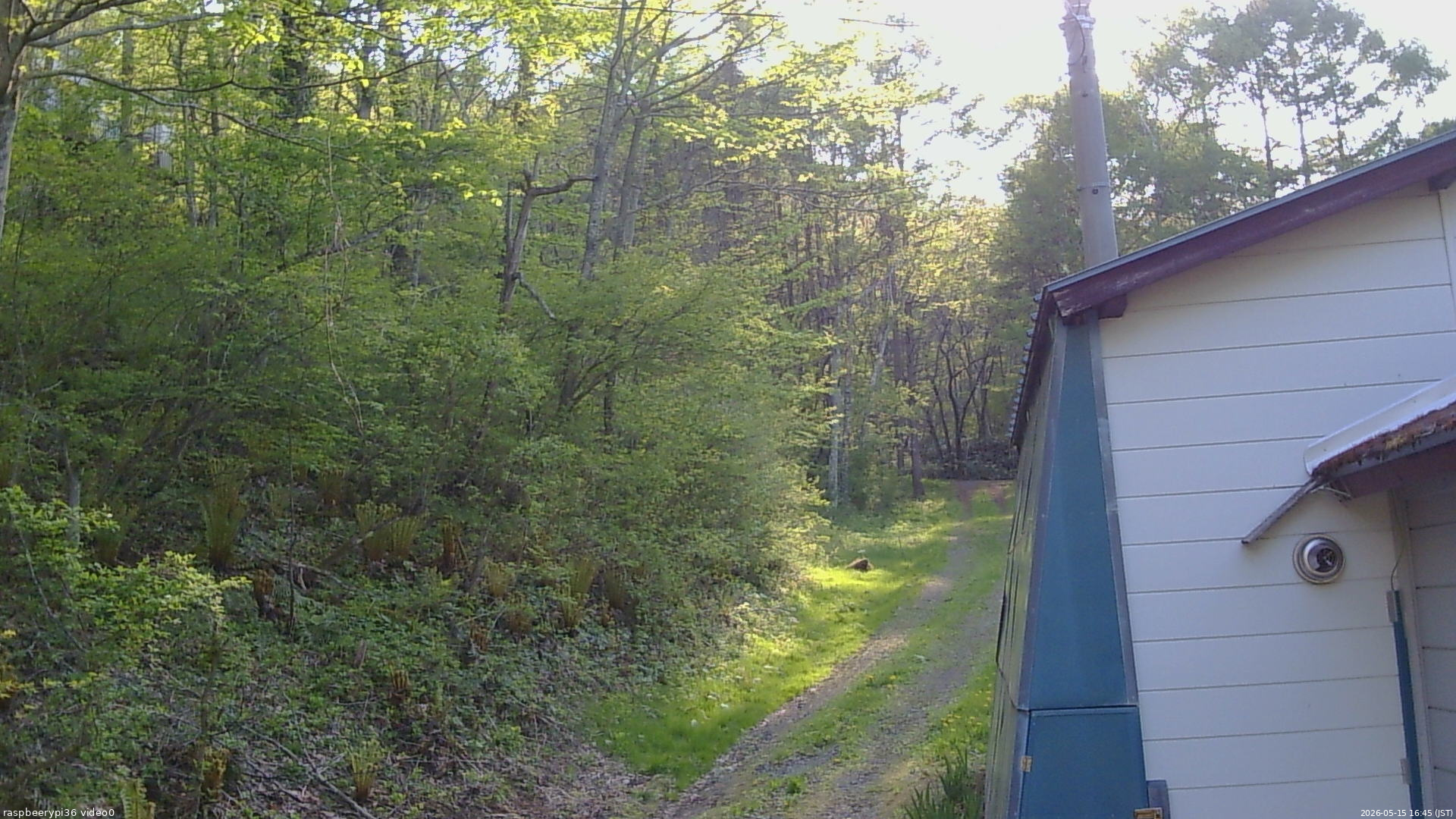 長野県菅平高原 ゆたか山荘 ゆたか山荘 2026/05/15 16:45