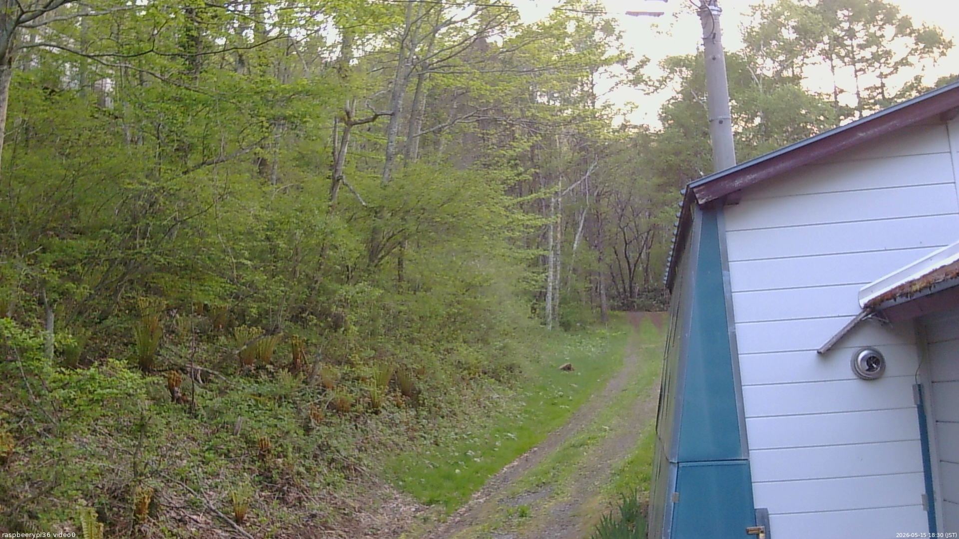長野県菅平高原 ゆたか山荘 ゆたか山荘 2026/05/15 18:30