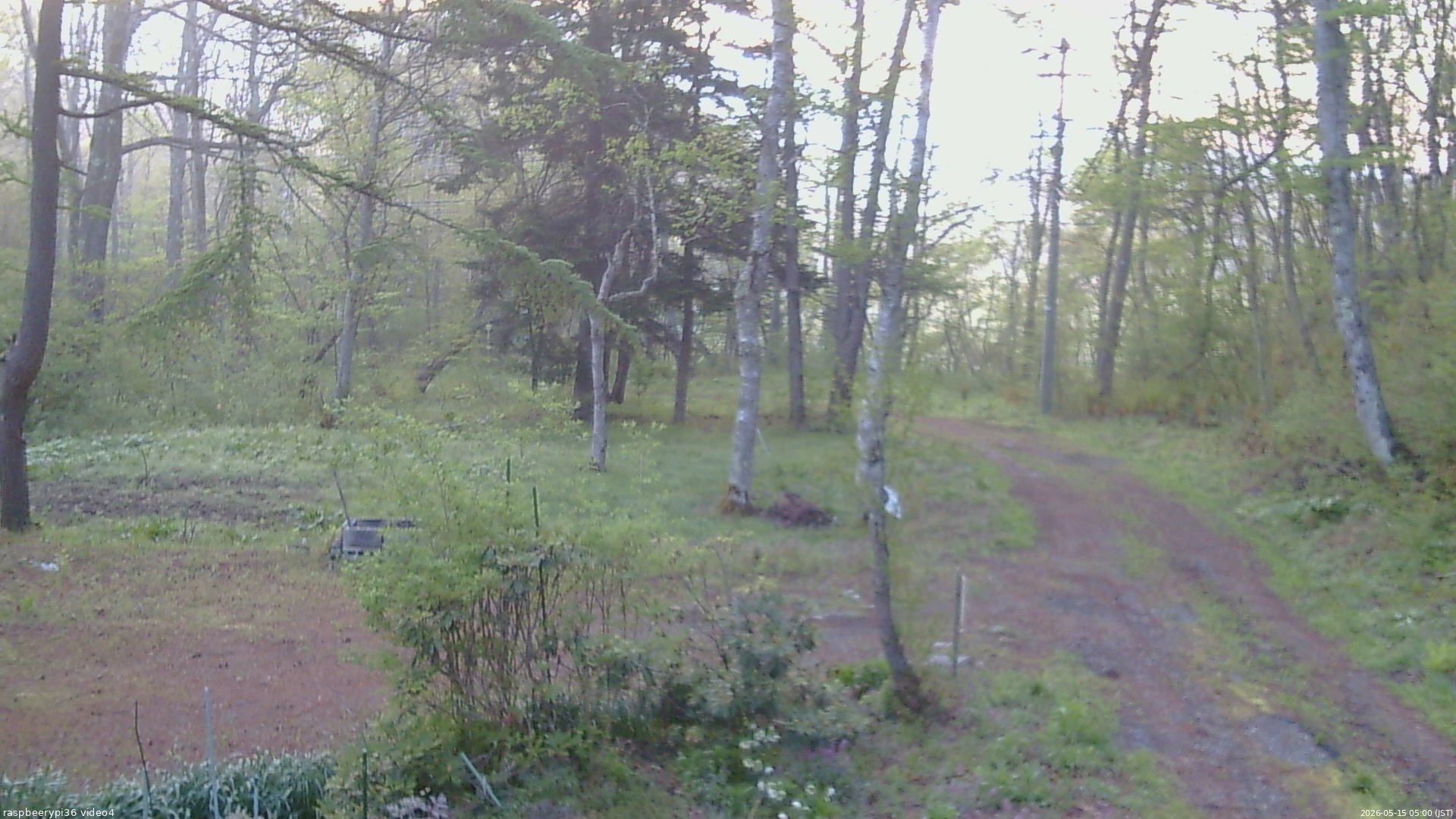 長野県菅平高原 ゆたか山荘 坂上 2026/05/15 05:00