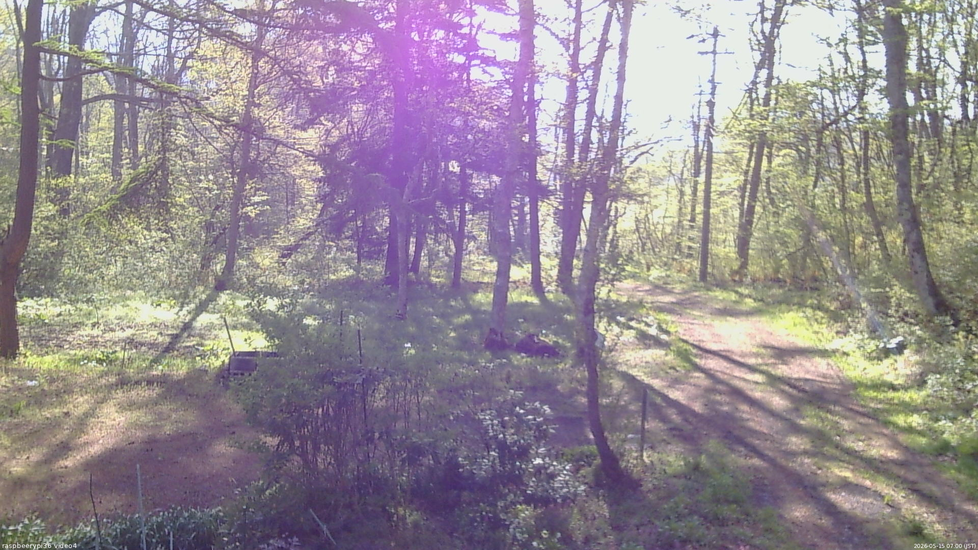長野県菅平高原 ゆたか山荘 坂上 2026/05/15 07:00