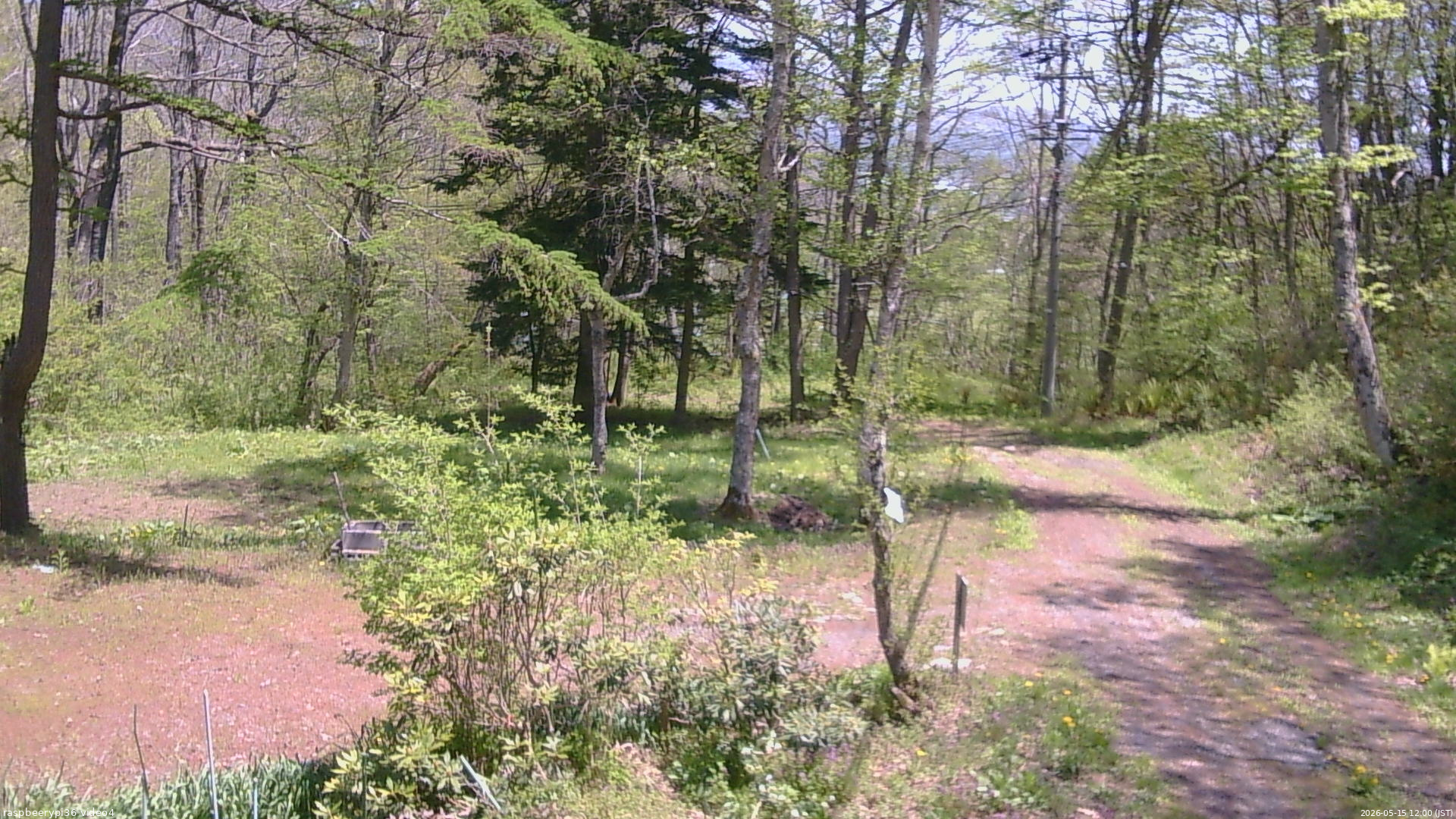 長野県菅平高原 ゆたか山荘 坂上 2026/05/15 12:00