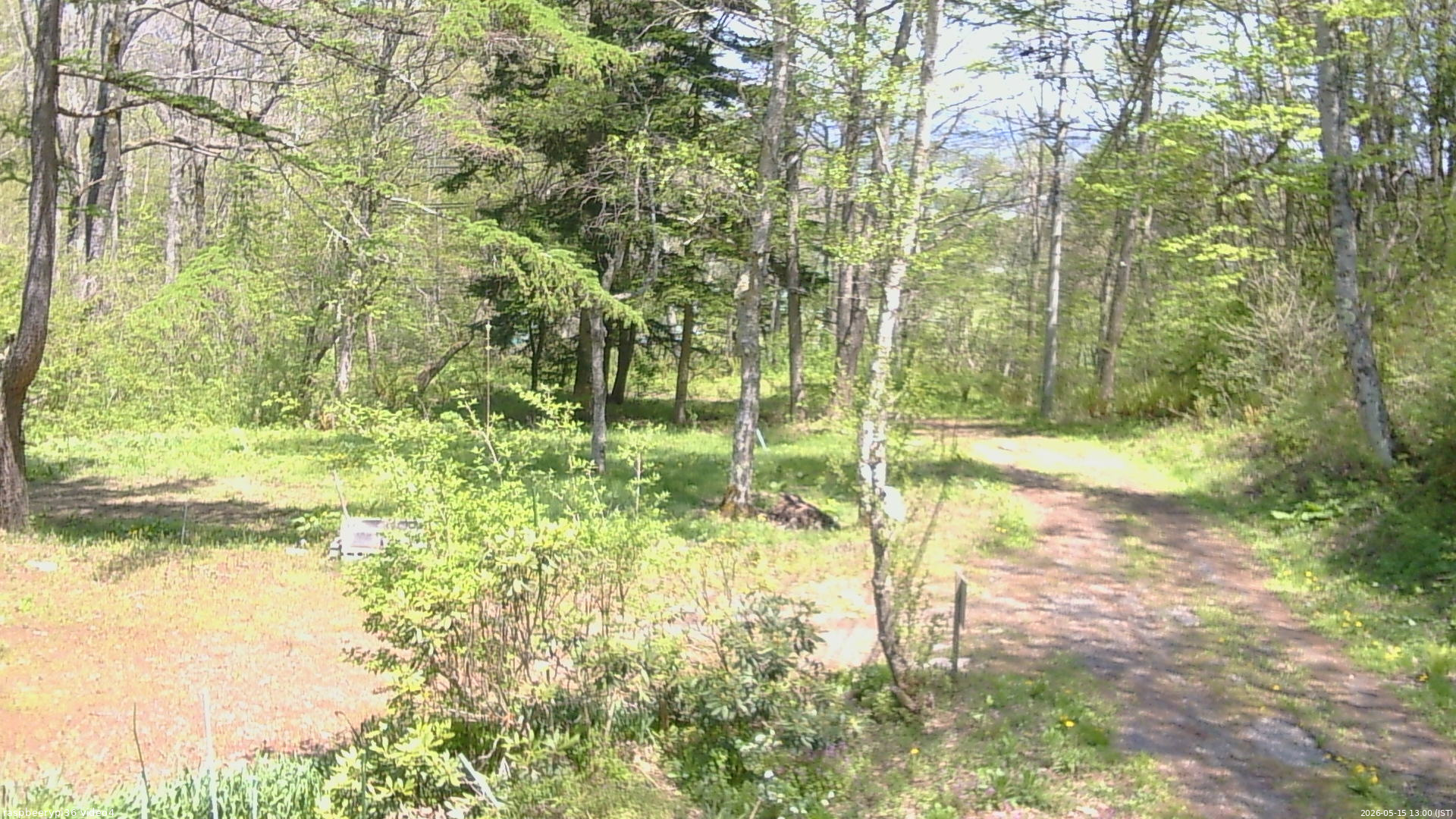 長野県菅平高原 ゆたか山荘 坂上 2026/05/15 13:00