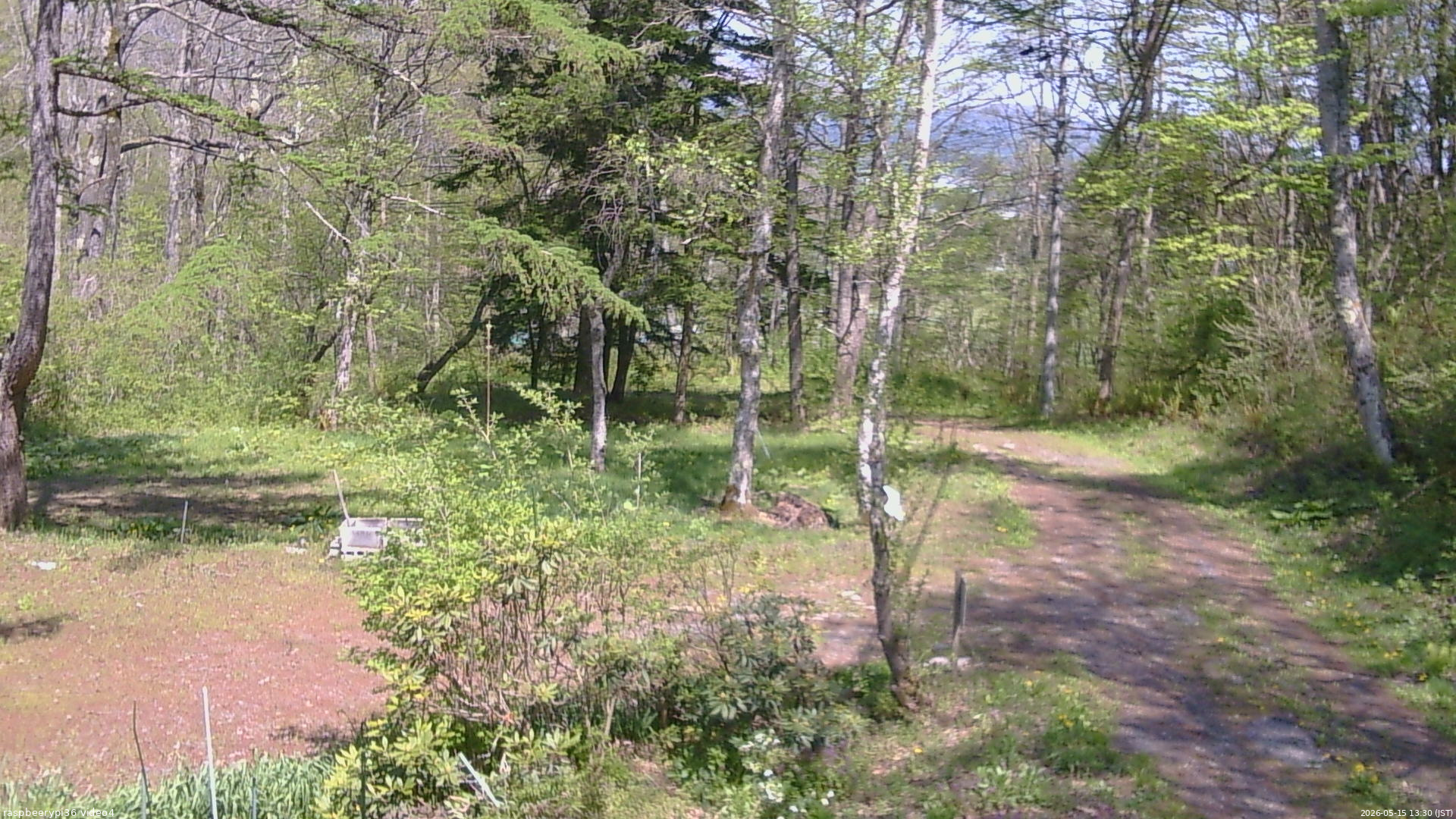 長野県菅平高原 ゆたか山荘 坂上 2026/05/15 13:30