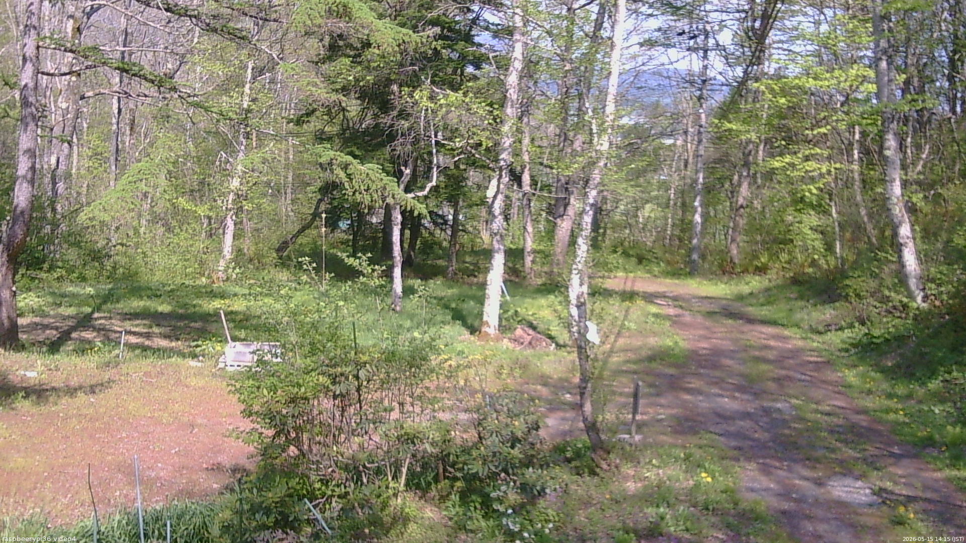 長野県菅平高原 ゆたか山荘 坂上 2026/05/15 14:15