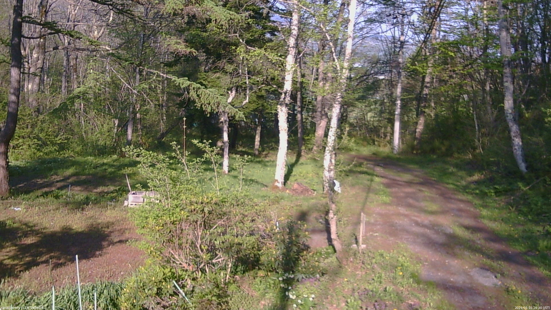長野県菅平高原 ゆたか山荘 坂上 2026/05/15 16:30