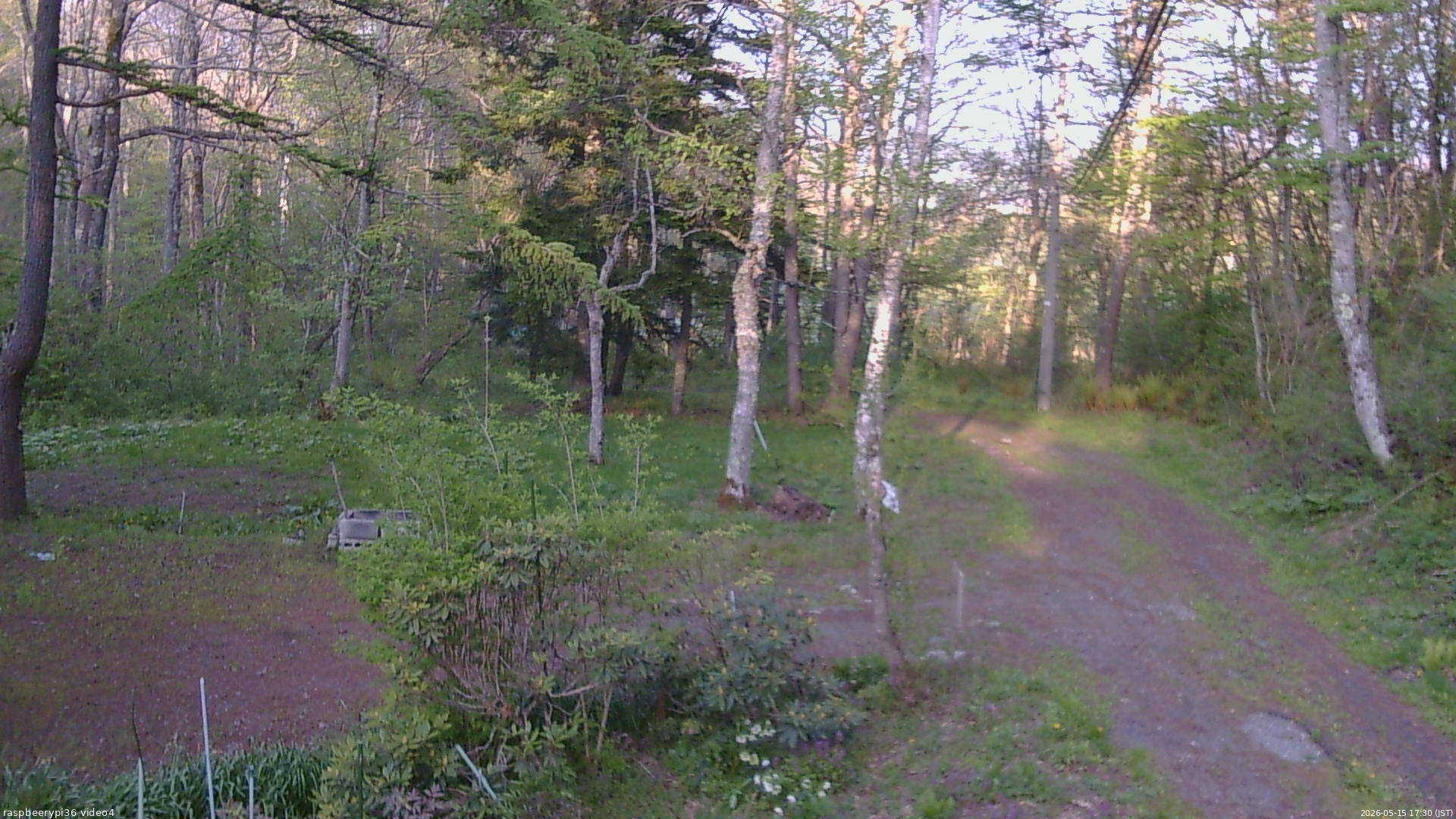 長野県菅平高原 ゆたか山荘 坂上 2026/05/15 17:30