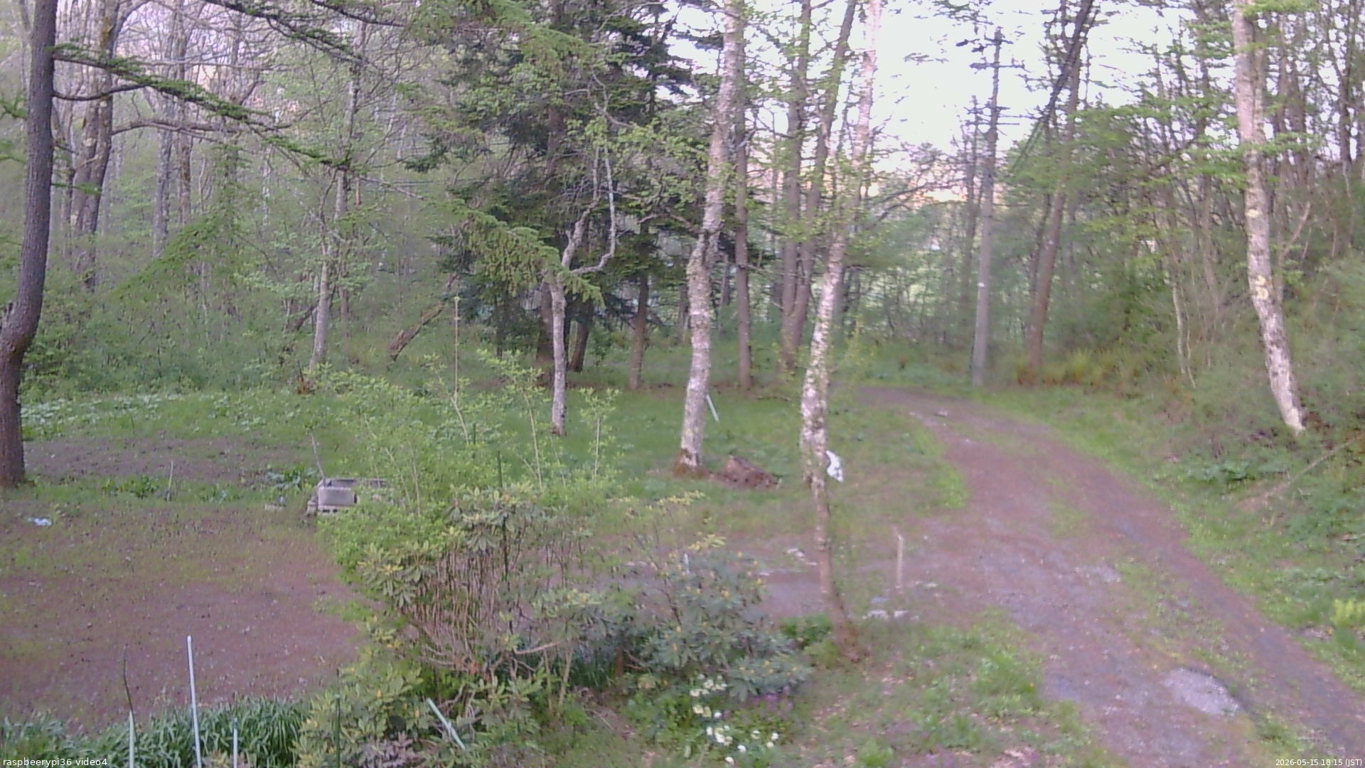 長野県菅平高原 ゆたか山荘 坂上 2026/05/15 18:15