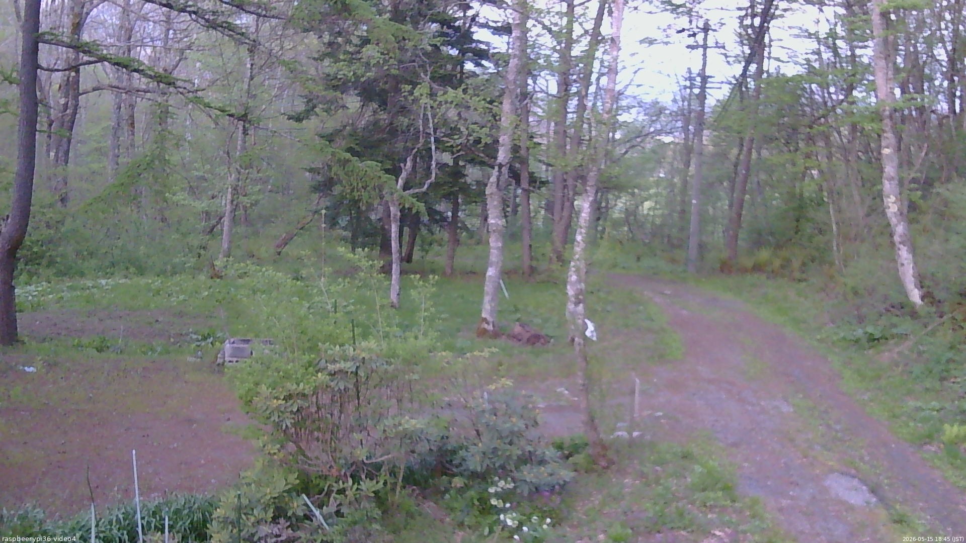 長野県菅平高原 ゆたか山荘 坂上 2026/05/15 18:45