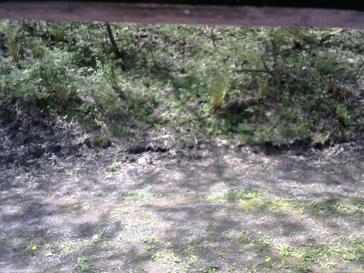 長野県菅平高原 ゆたか山荘 東側(坂下) 2026/05/16 09:15