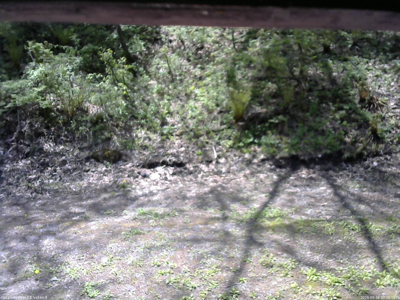 長野県菅平高原 ゆたか山荘 東側(坂下) 2026/05/16 10:30