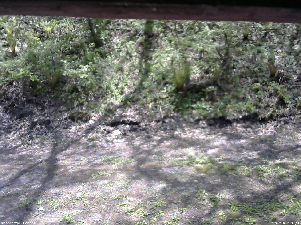 長野県菅平高原 ゆたか山荘 東側(坂下) 2026/05/16 12:00