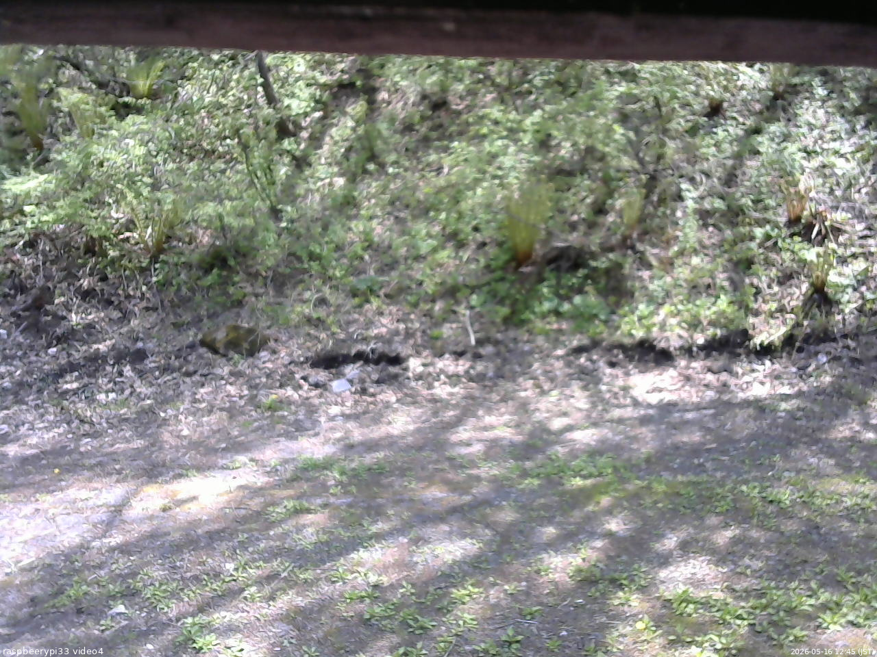 長野県菅平高原 ゆたか山荘 東側(坂下) 2026/05/16 12:45