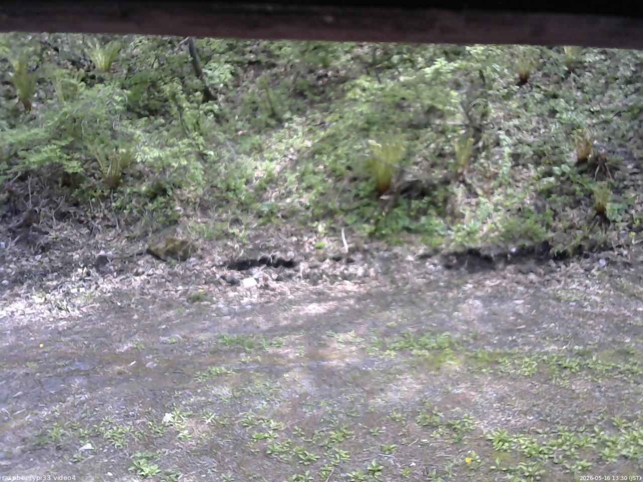 長野県菅平高原 ゆたか山荘 東側(坂下) 2026/05/16 13:30