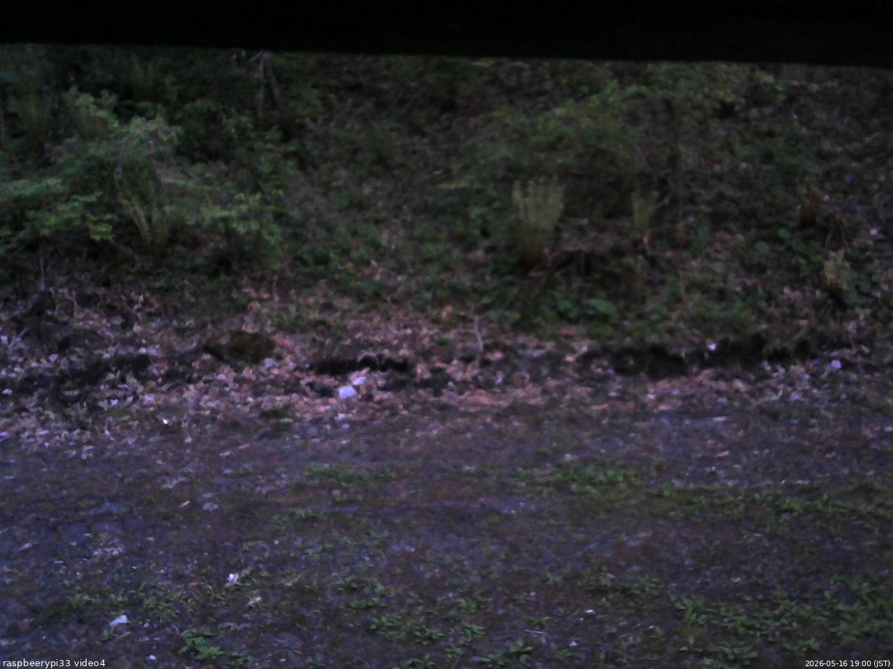 長野県菅平高原 ゆたか山荘 東側(坂下) 2026/05/16 19:00