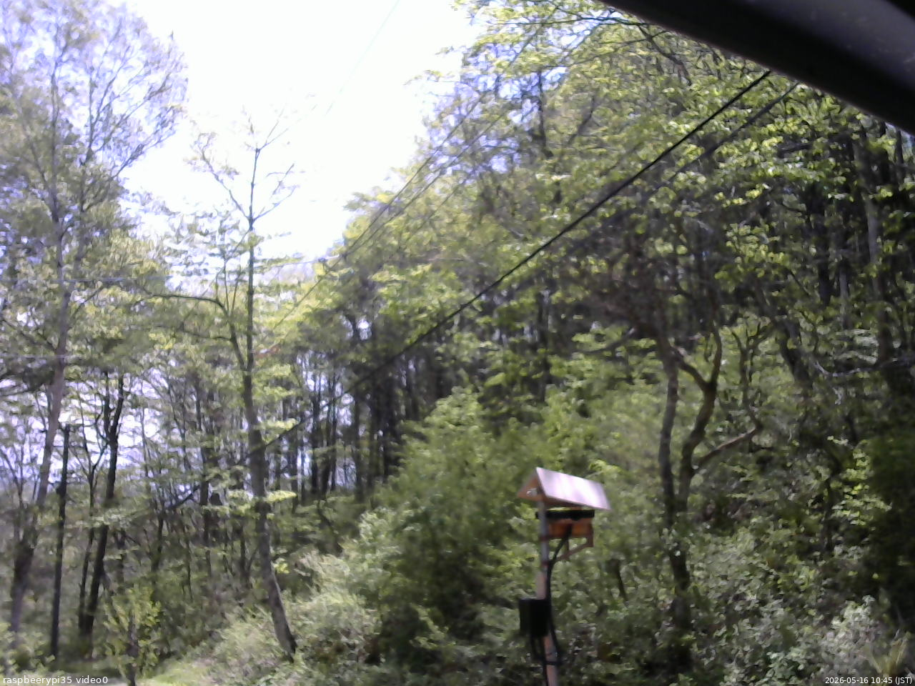 長野県菅平高原 ゆたか山荘 温度計 2026/05/16 10:45