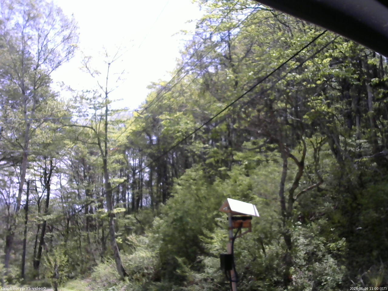 長野県菅平高原 ゆたか山荘 温度計 2026/05/16 11:00