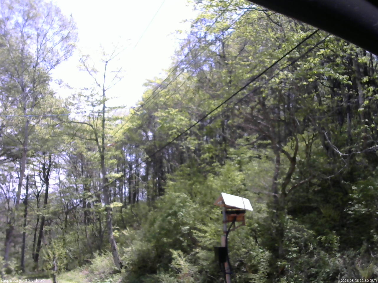長野県菅平高原 ゆたか山荘 温度計 2026/05/16 11:30