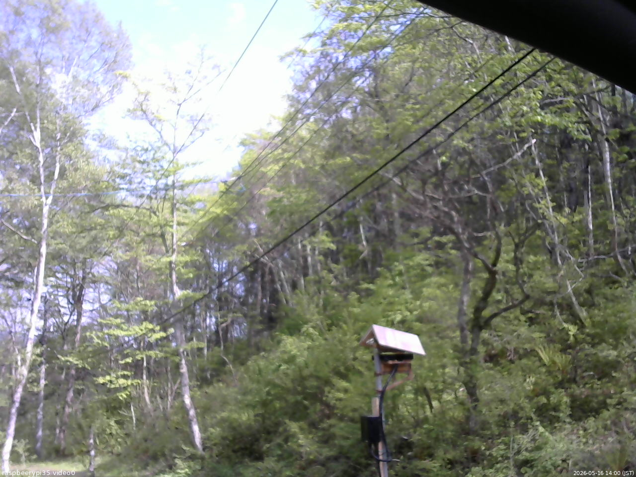 長野県菅平高原 ゆたか山荘 温度計 2026/05/16 14:00