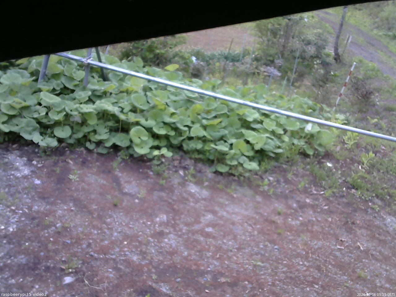 長野県菅平高原 ゆたか山荘 駐車場 2026/05/16 05:15