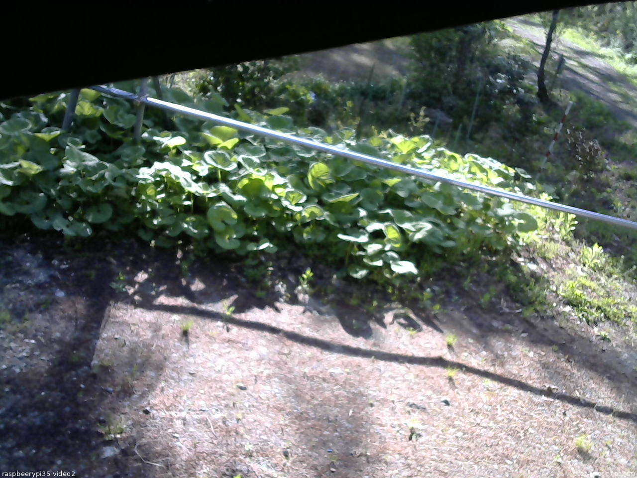 長野県菅平高原 ゆたか山荘 駐車場 2026/05/16 07:00