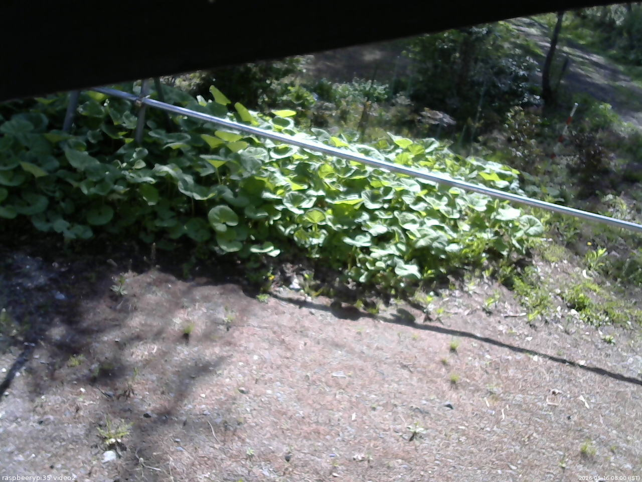 長野県菅平高原 ゆたか山荘 駐車場 2026/05/16 08:00
