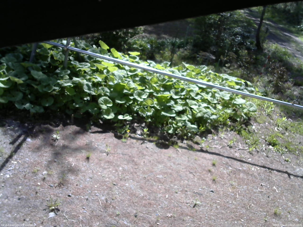 長野県菅平高原 ゆたか山荘 駐車場 2026/05/16 08:15