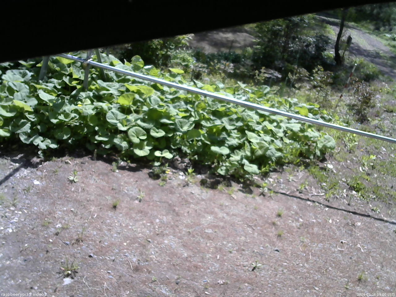 長野県菅平高原 ゆたか山荘 駐車場 2026/05/16 09:00