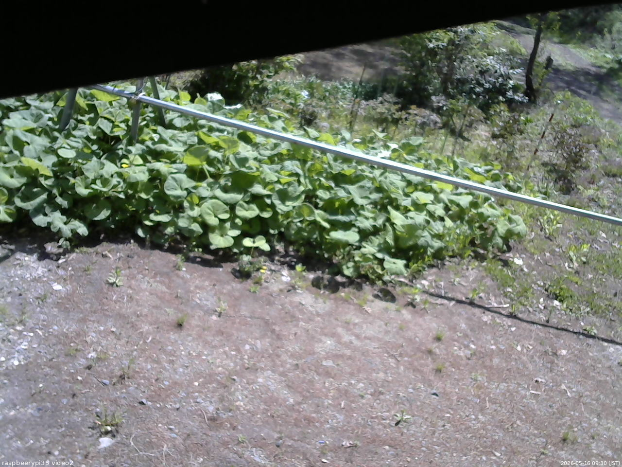 長野県菅平高原 ゆたか山荘 駐車場 2026/05/16 09:30