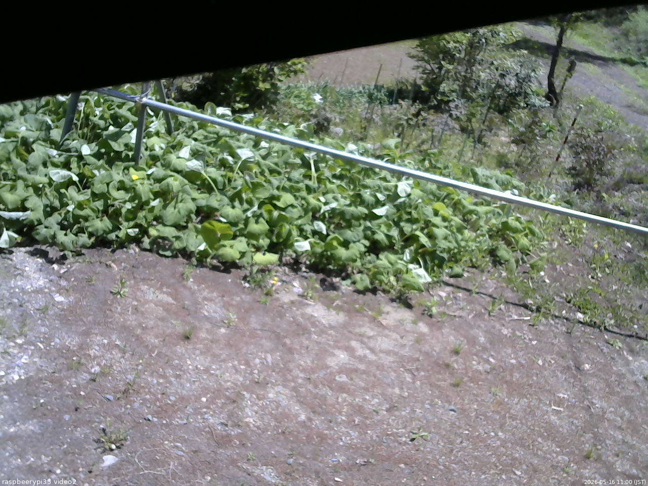 長野県菅平高原 ゆたか山荘 駐車場 2026/05/16 11:00