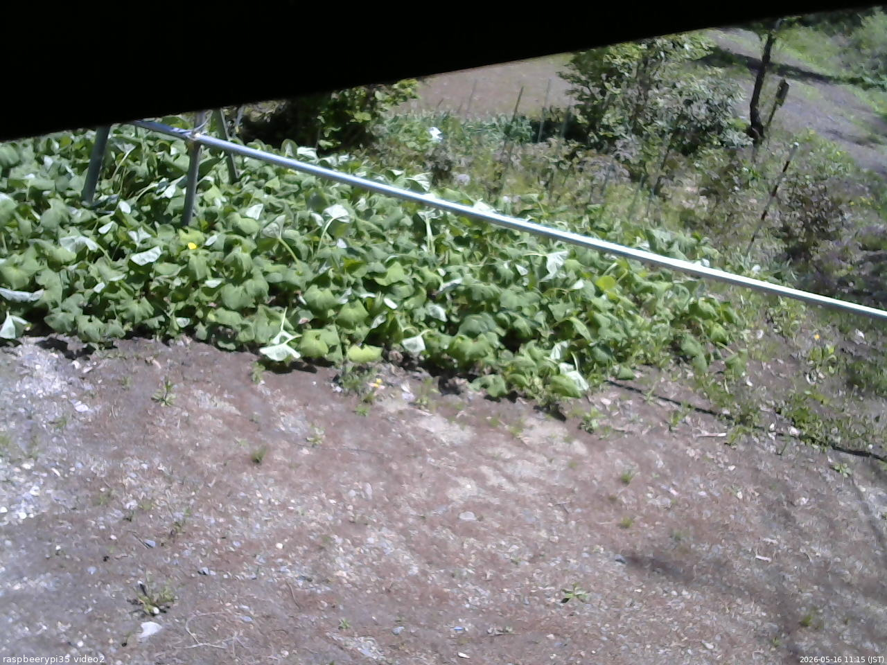 長野県菅平高原 ゆたか山荘 駐車場 2026/05/16 11:15